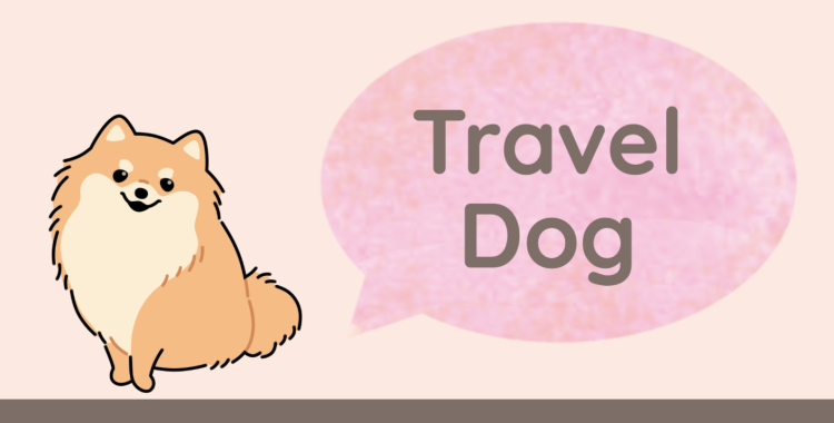 TravelDog
